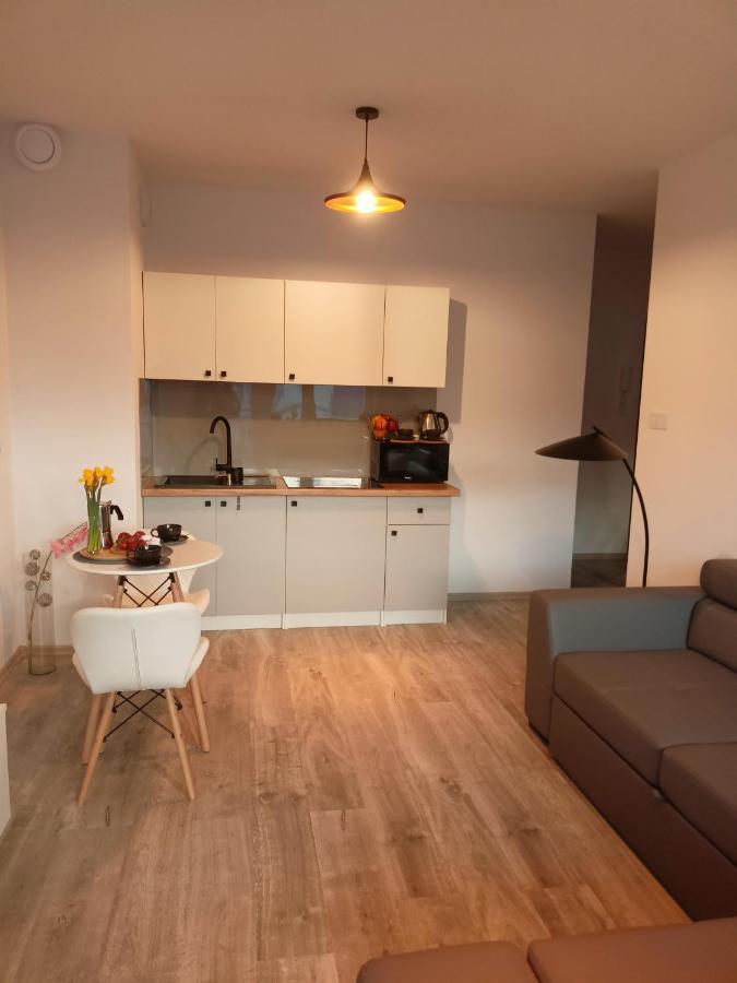 Ferienwohnung Apartament Z Sauna I Jacuzzi Radom Exterior foto